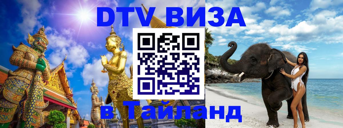 Сколько стоит DTV виза — актуальные цены, оформление даже без документов - Пятигорск 
